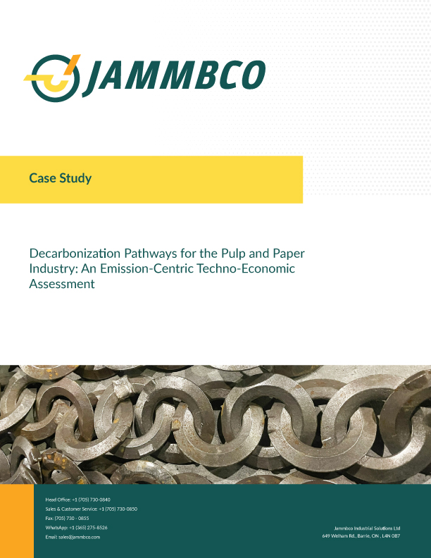 Decarbonization Pathways for the Pulp and Paper Industry: An Emission-Centric Techno-Economic Assessment